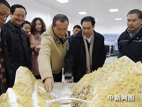 �T���H�R���ҽ����Tɽ�錍(sh��)���ݳ�����(l��)���`��