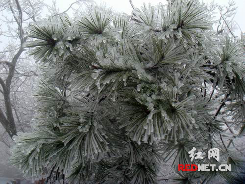 �Fڡ���^(gu��n)